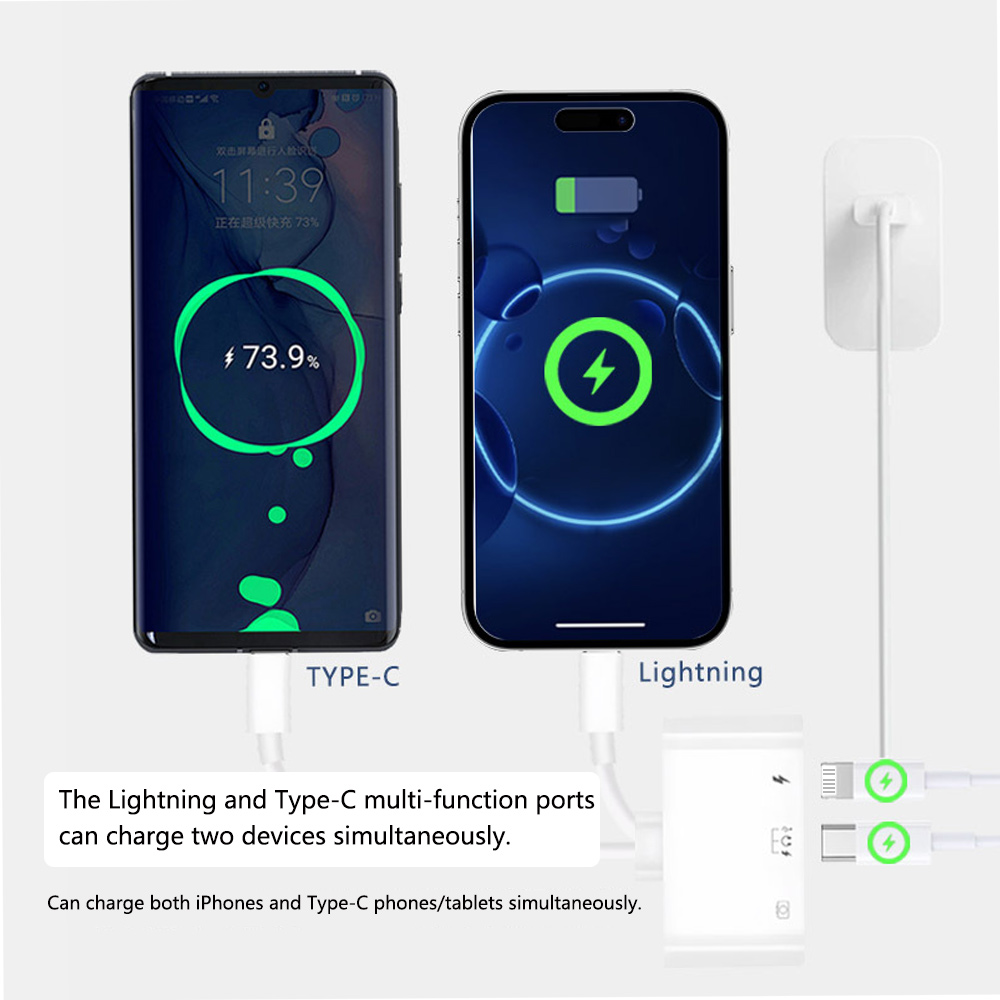 2 in 1 Lightning Type C to USB - đánh giá và giá Wired Earphone Lightning